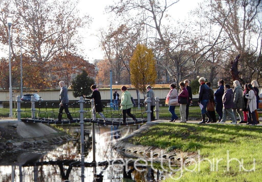 Tulipánfával a mellrák ellen 24